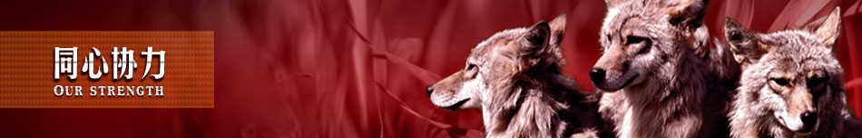 專(zhuān)注精密主軸維修  【精密主軸維修服務(wù)中心】